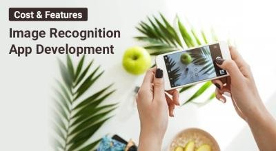 The Cost of Image Recognition Software Development: A Comprehensive Guide